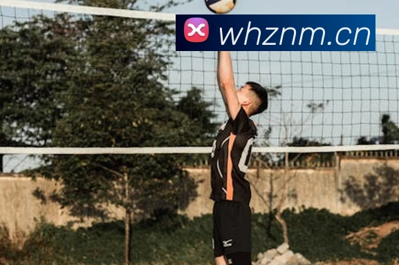 开云在线官方网站全站App